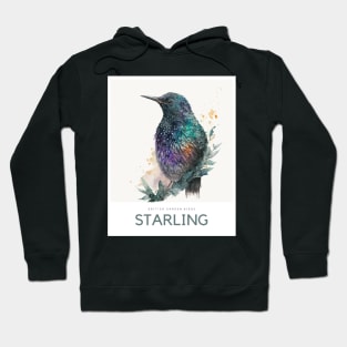 British Garden Birds: Starling Hoodie